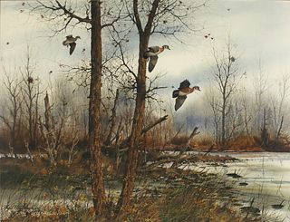 David A. Hagerbaumer (1921-2014), Dropping In - Wood Ducks