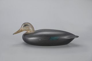 Mackey-Wheeler Black Duck Decoy by Charles E. "Shang" Wheeler (1872-1949)