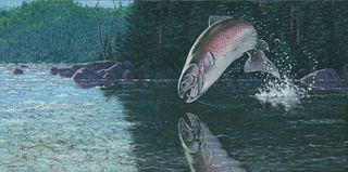 George Luther Schelling (b. 1938), Leaping Rainbow Trout