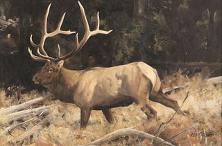 Ken Carlson (b. 1937), Bull Elk