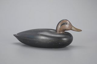 Black Duck Decoy by Charles R. Welles (1895-1979)
