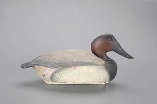 Canvasback Decoy by The Ward Brothers