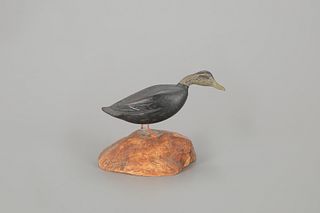 Miniature Black Duck by Russ P. Burr (1887-1955)