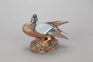 "Sunbathing" Blue-Winged Teal by The Ward Brothers