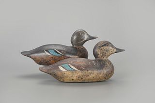Tack-Eye Blue-Winged Teal Pair by Mason Decoy Factory (1896-1924)