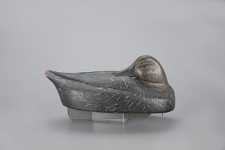 Rare and Early Sleeping Black Duck Decoy by Ferdinand Bach (1888-1967)
