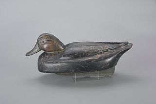 Rare and Early Tucked-Head Black Duck Decoy by Ferdinand Bach (1888-1967)