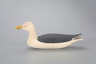 Great Black-Backed Gull Decoy by Amateur "Mat" Savoie (1896-1983)