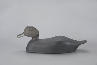 Rare Black Duck Decoy by Capt. Clarence I. Bailey (1882-1952)