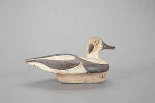 Long-Tailed Drake Decoy by Capt. Abe Smith