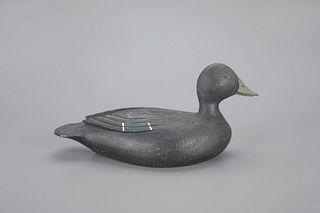 Black Duck Decoy by Georges Guyon