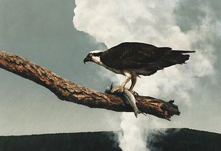 Morten E. Solberg (b. 1935), Along the Firehole (Osprey)