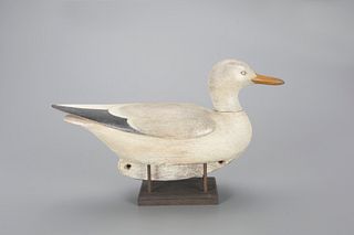 Gull by Mark S. McNair (b. 1950)