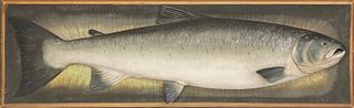 Atlantic Salmon Model by Frank S. Finney (b. 1947)