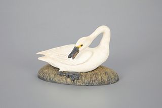 Miniature Preening Swan by Frank S. Finney (b. 1947)