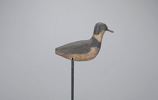 Semipalmated Plover Decoy
