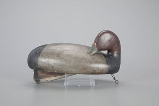 Sleeping Redhead Decoy by Ted Van den Bossche (1887-1953)