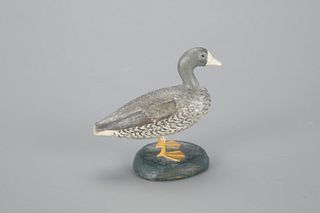 Miniature White-Fronted Goose by Levi W. Witham (1853-1939)