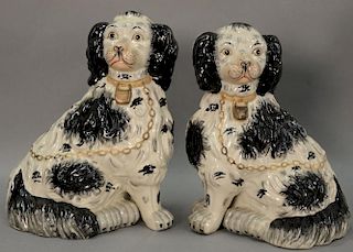 Large pair of black and white Staffordshire Spaniel dogs. ht. 13 1/2in.