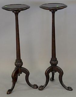 Pair of mahogany fern/plant stands with ball and claw feet. ht. 37in.