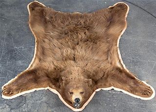 A Taxidermy Bear Rug, 6 feet x 5 feet.