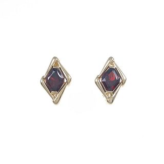 K18YG Garnet Earrings