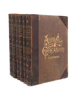 * WOOD, REV. J.G. Animate Creation... New York, (1898). 6 vols. Color lithos.