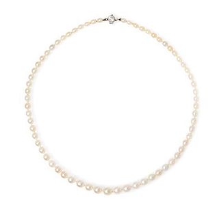 A Single Strand Graduated Natural Pearl Necklace, Tiffany & Co., Circa 1903,