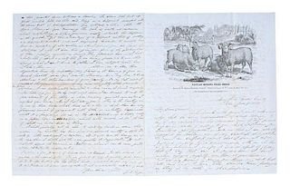 Antebellum Southern Letter Regarding Merino Sheep on Slave Plantations, June, 1851 