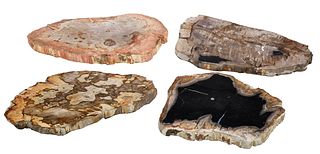 Four Petrified Wood Slabs