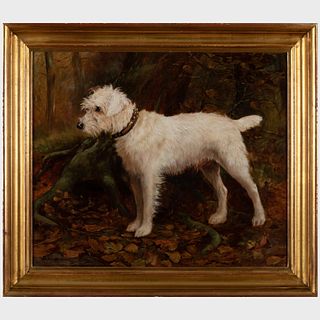 George Derville Rowlandson (1861-1928): Portrait of a Terrier