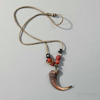 Plains Bear Claw Amulet Necklace