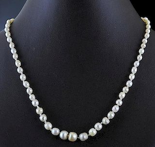 Antique "Natural" pearl necklace