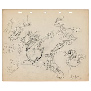 Preston Blair preliminary model sheet drawing of Donald Duck