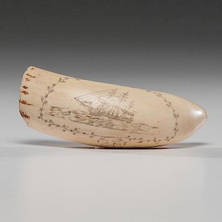Scrimshaw Whale's Tooth Featuring the Ship Stag Hound