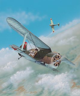 Steve Ferguson (B. 1946) "Polikarpov I-15 Gull"