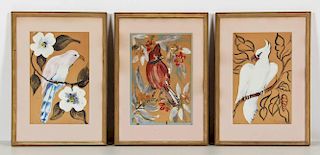 Group of 3 Mid Century Bird Paintings