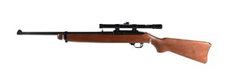Firearm: Ruger 10/22 Carbine Rifle 22 LR