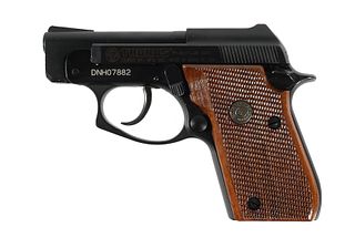 Firearm: Taurus PT-25 Subcompact Pistol .25 Auto