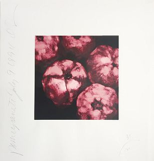 Donald Sultan - Pomegranates