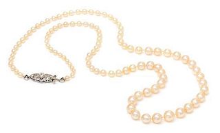 * A Graduated Single Stand Natural Pearl Necklace, Black Starr and Frost, 6.30 dwts.