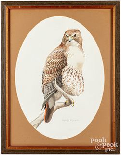 J. Randy Rowe, watercolor of a hawk