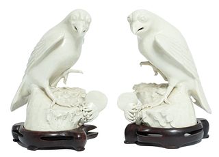 Chinese Blanc De Chine Porcelain Hawks C. 19th.c., H 8'' 1 Pair