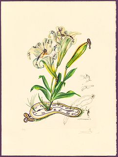 Salvador Dali (Spanish, 1904-1989) Lithograph In Colors On Arches Paper, C. 1972, Lilies Montre Molle, From Florals, H 29.5'' W 21.75''