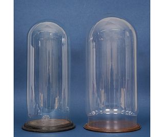 TWO GLASS DOMES
