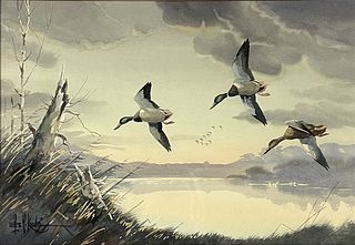Les Kouba Ducks Wildlife Watercolor on Paper