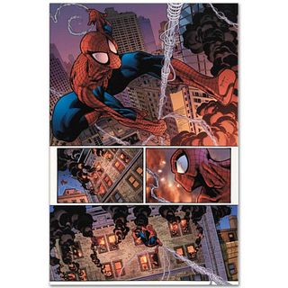 Marvel Comics "The Amazing Spider-Man #596" Numbered Limited Edition Giclee on Canvas by Paulo Siqueira with COA.