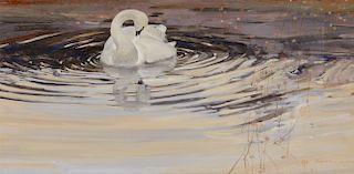 Thomas Quinn (b. 1938) Tundra Swan 1987