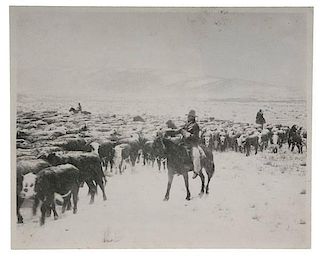 Charles J. Belden Photograph of Cowboys Herding Cattle in a Blizzard 
