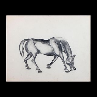 Modernist Drawing of a Horse, 1946.